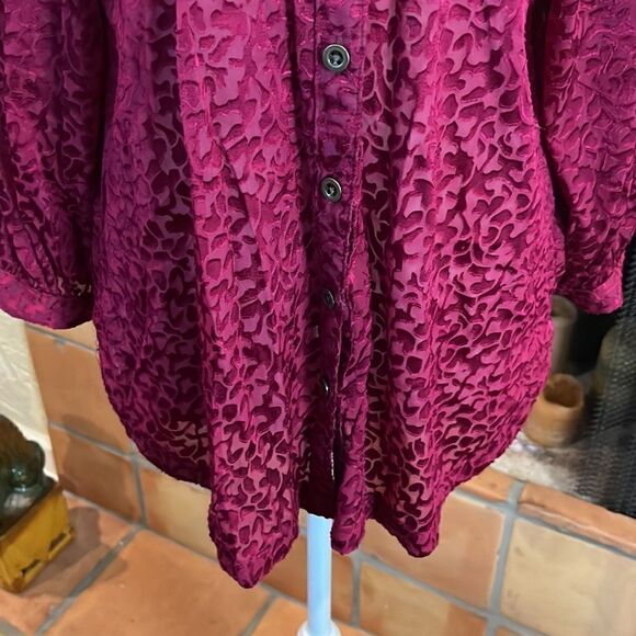 Anthropologie Susanna Burnout Velvet Buttondown, MP! - Picture 3 of 10